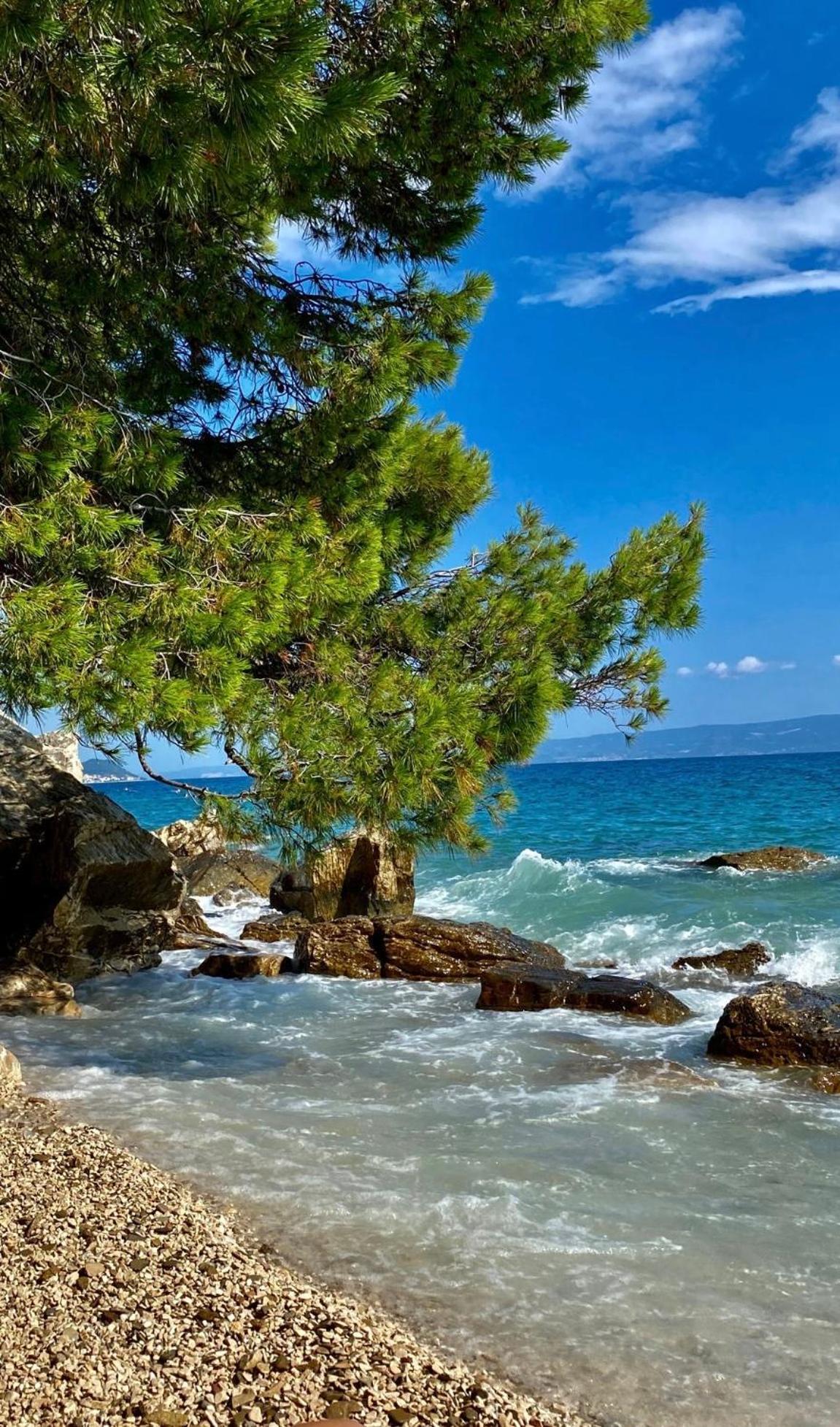 Branka *** Split