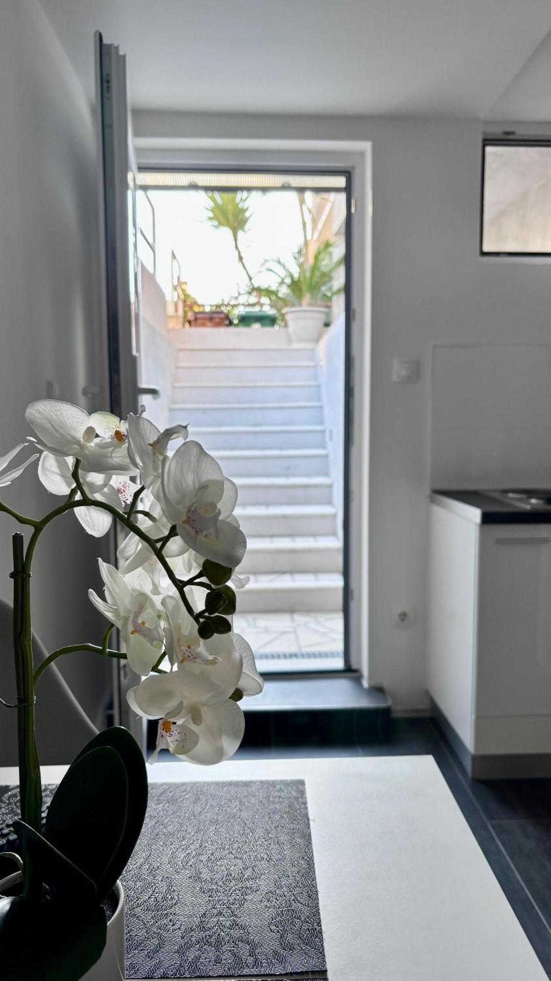 Branka *** Apartament Split